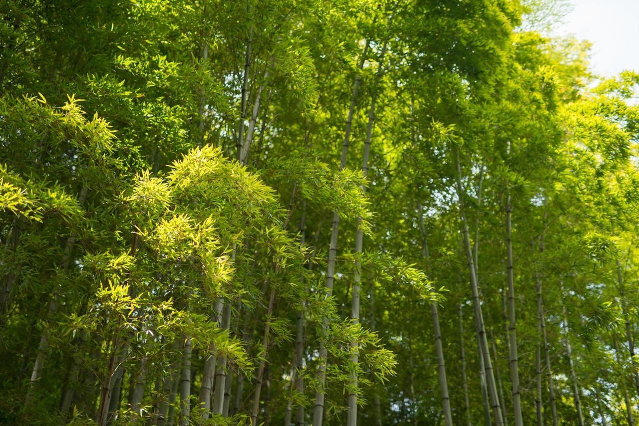 Kyoto Chikuan Διαμέρισμα Εξωτερικό φωτογραφία